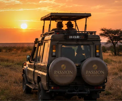 East African sunset safari landscape
