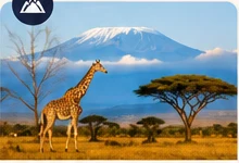 Tanzania destination