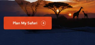Zanzibar destination