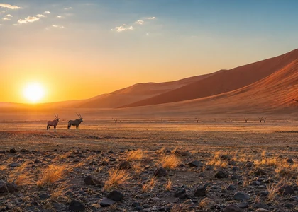 Sossusvlei Dunes in Namibia