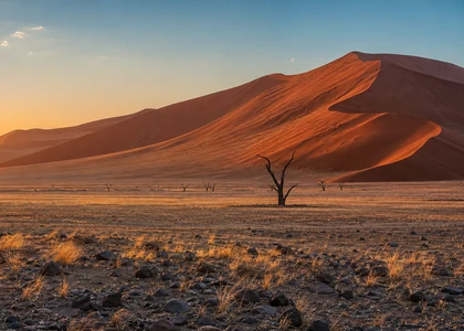 Skeleton Coast in Namibia
