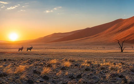 Sossusvlei & Deadvlei