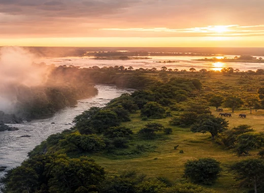Zambia safari travel tips