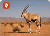 Samburu National Reserve