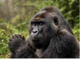 Mount Longonot Hike gallery image 4
