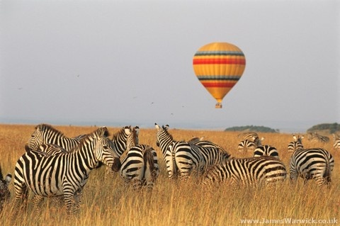 4 Days Kenya's Iconic Wildlife Escape