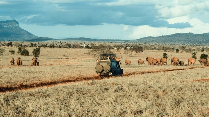 7-Day Tanzania Safari - Tarangire - Serengeti - Ngorongoro
