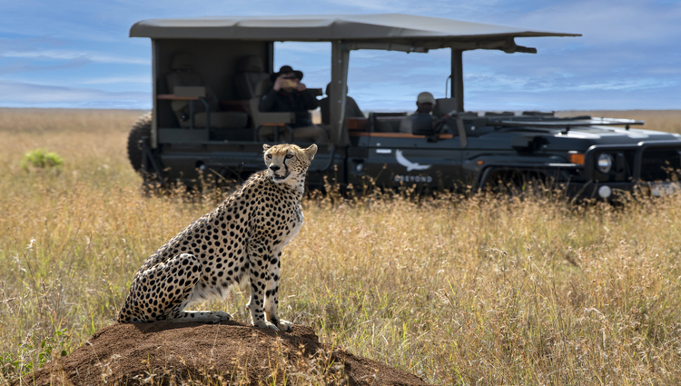 3 Days Serengeti Game Fly in Package gallery image 4