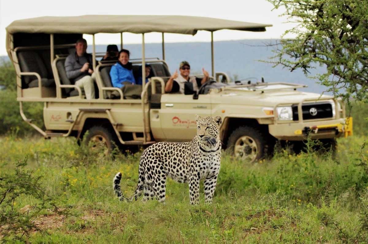 3 Days Serengeti Game Fly in Package gallery image 1