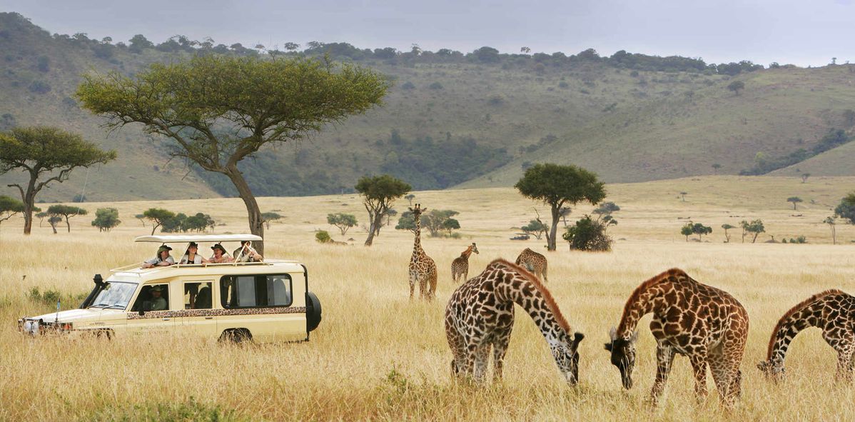 5 Days Ngorongoro & Serengeti Safari (Fly in – Fly out) gallery image 1