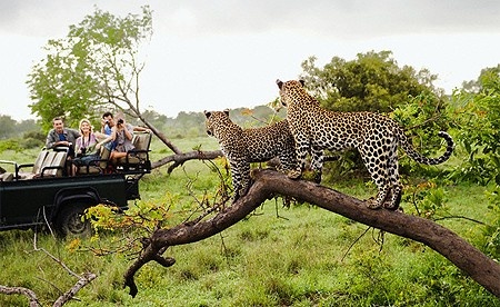 7-Day Tanzania Safari - Tarangire - Serengeti - Ngorongoro gallery image 4