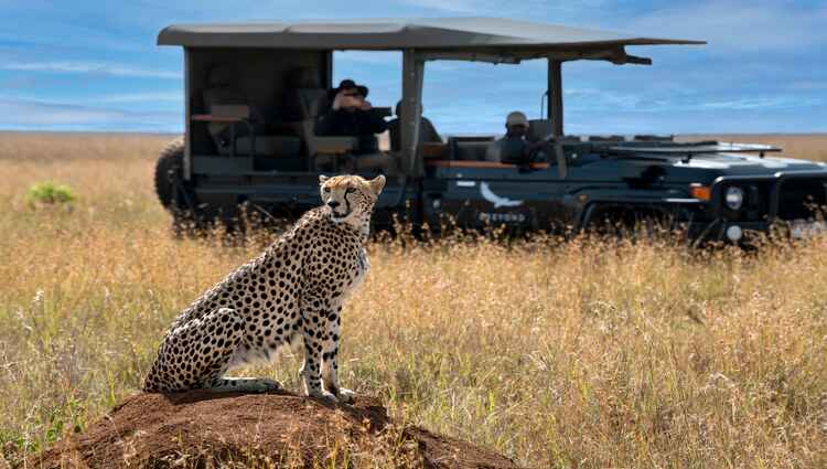 8-Day Journey Through Kenya's Untamed Wilderness gallery image 1