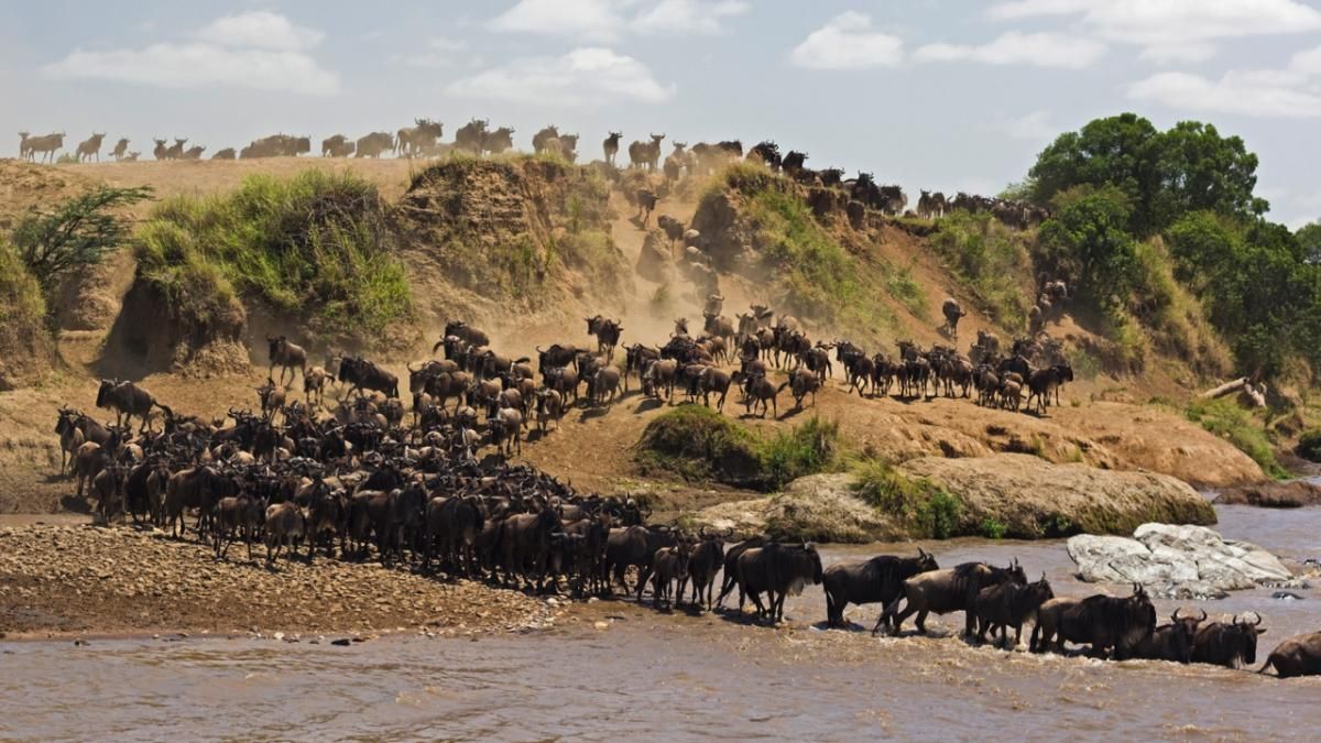 3 Days Kenya's Premier Maasai Mara Safari